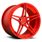 Niche Forged ROMA